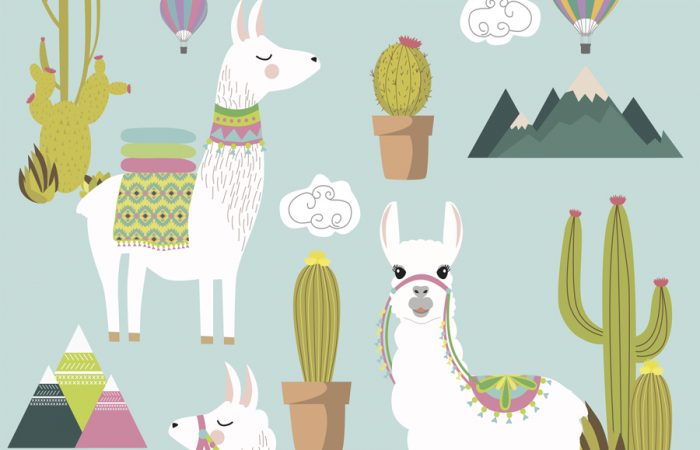 Llama