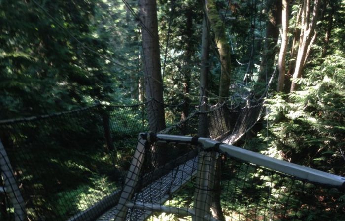 Vancouver TreeTop