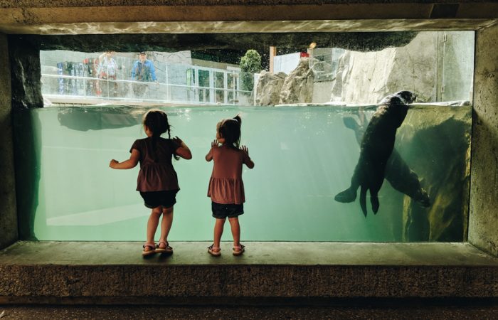 Sometimes your kids need to skip school