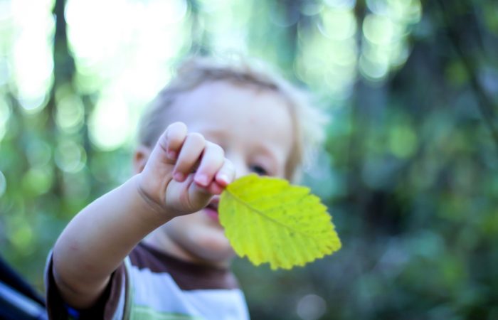 Educational Activities in Vancouver