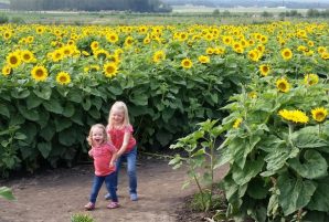 Calgary End of Summer Events