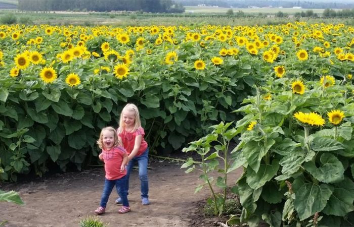 Calgary End of Summer Events