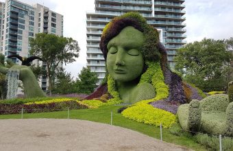 Mosaiculture Mother Earth