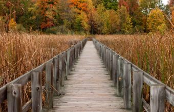 Fall photos in Ottawa