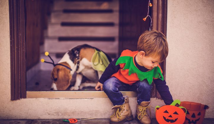 Save Money on Halloween Costumes for Kids