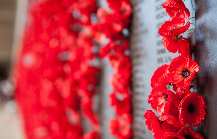 Remembrance Day in Ottawa