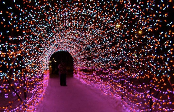 Zoo Lights