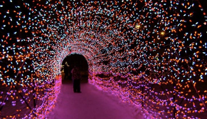 The Best Places to See Christmas Lights in and Around Calgary in 2019 - SavvyMom
