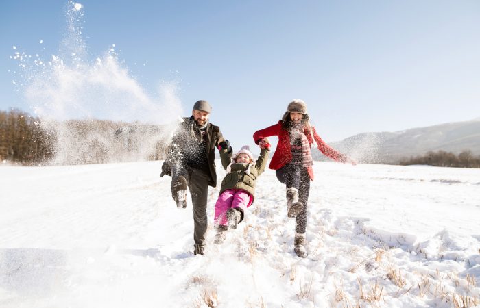 What to See and Do in Winter
