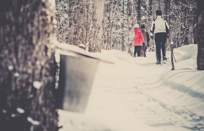 March Break Day Trips GTA