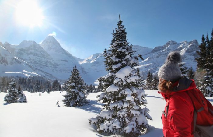 Assiniboine Lodge