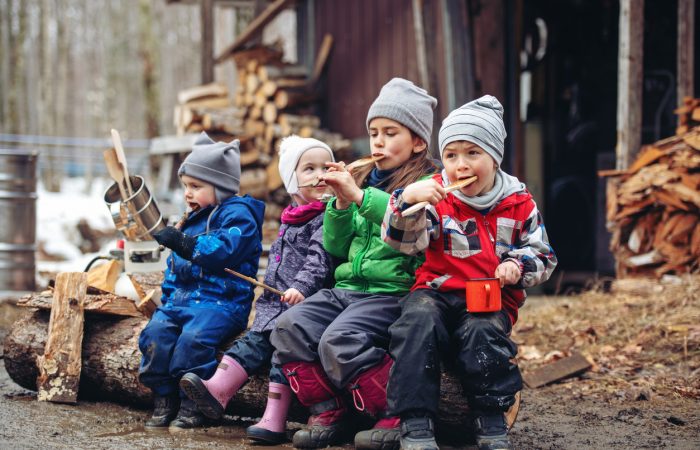 Things to do in Calgary in March