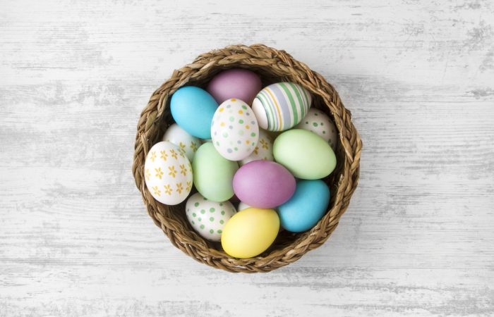 Family Friendly Things To Do in Calgary This April