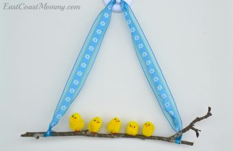 easter chick decor_blue