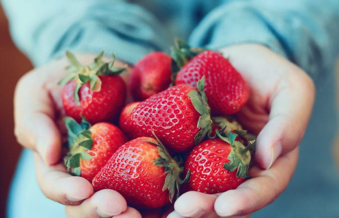 Strawberry Picking Ottawa