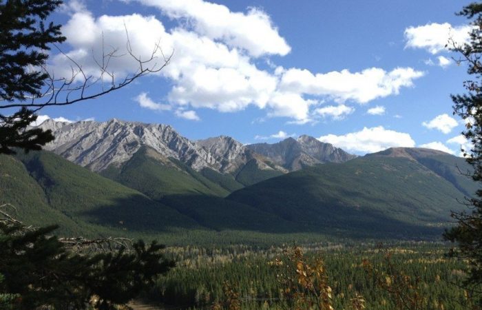 Alberta Road Trips
