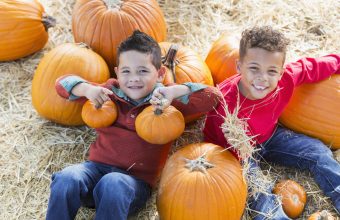 Pumpkin Patches in Toronto and GTA - SavvyMom