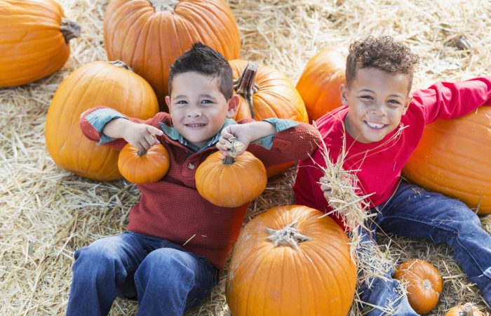 Pumpkin Patches in Toronto and GTA - SavvyMom