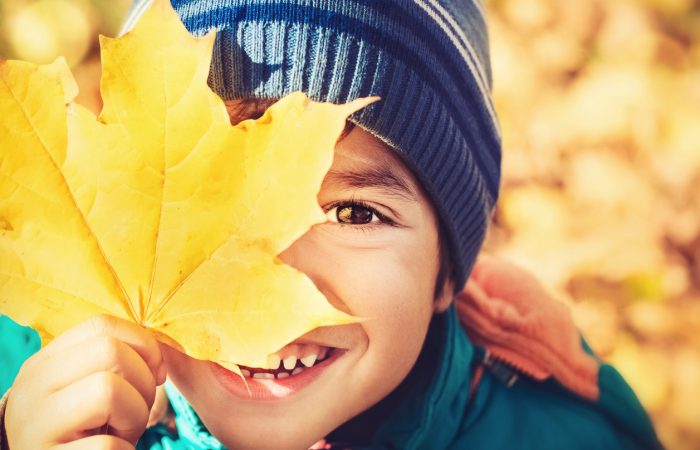 Things to do in Ottawa this Thanksgiving weekend