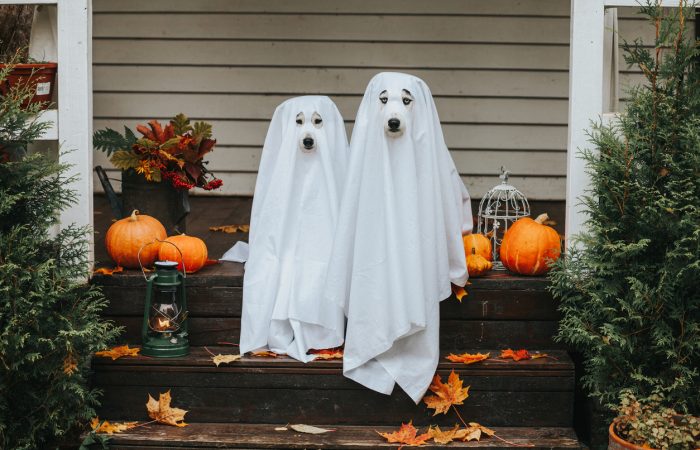Family Halloween Events Happening Around the GTA