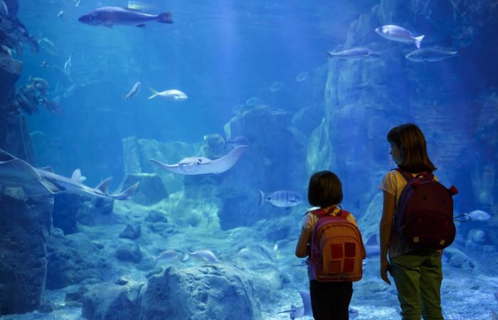 Experience gifts in Toronto