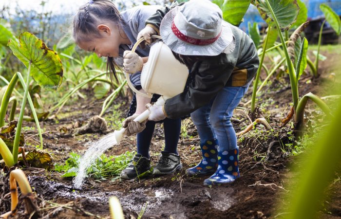 Unique Activities for Kids in Vancouver