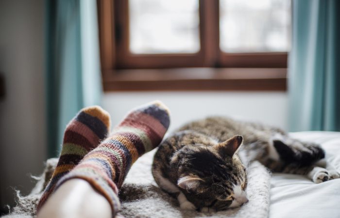 Foods That Help You Sleep Better