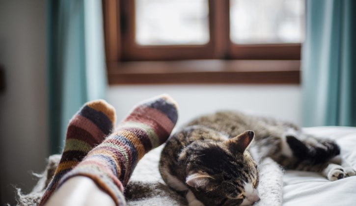 Foods That Help You Sleep Better