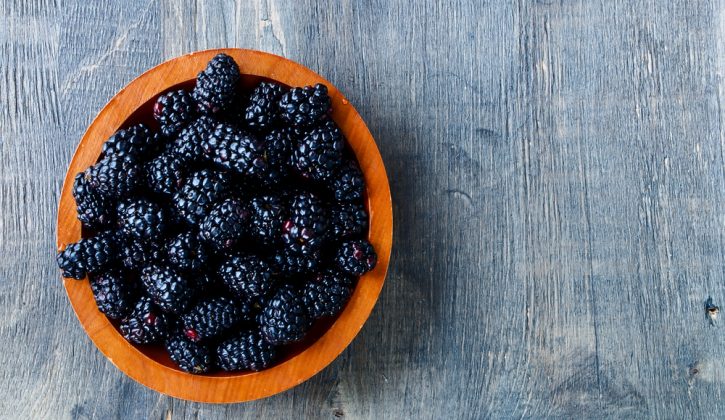recipegeek-food_talk-superfoods_we_love_berries