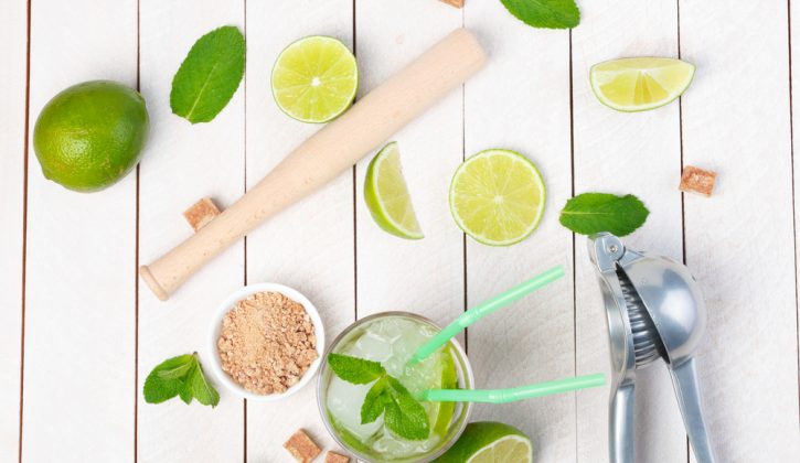 Must-Have Tools for the Backyard Bartender - SavvyMom