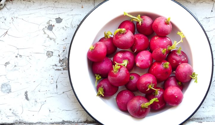 6 Spring Veggies to Get Excited About - SavvyMom