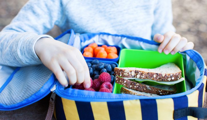 Healthy Snack Ideas for School Lunches