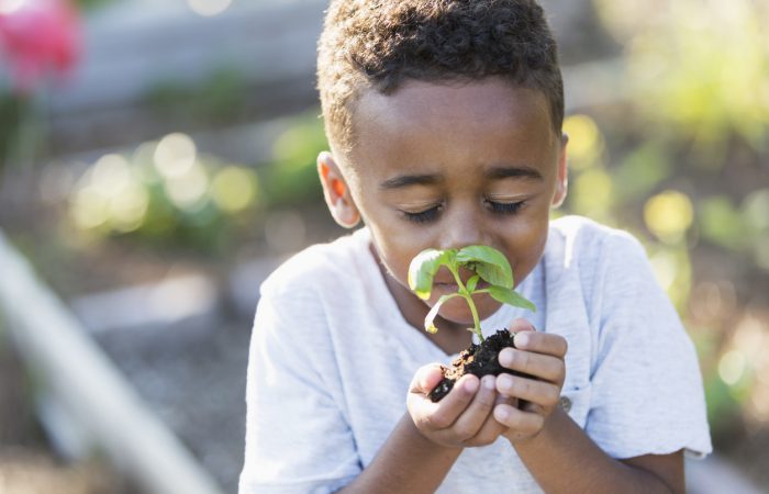 DIY Gardens for Kids - SavvyMom