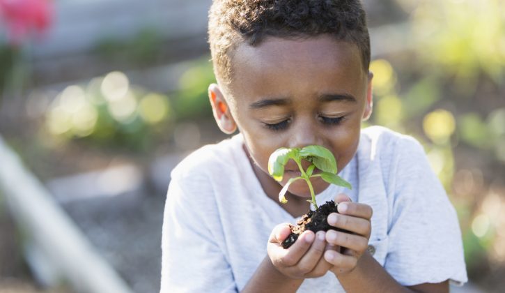 DIY Gardens for Kids - SavvyMom