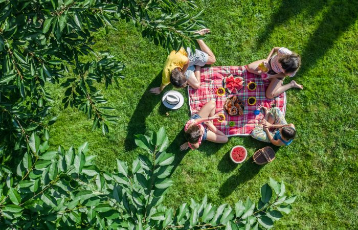 Best Family Picnic Spots in Toronto