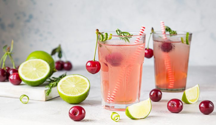 Summer Cocktails - Sour Cherry Gin Smash - SavvyMom
