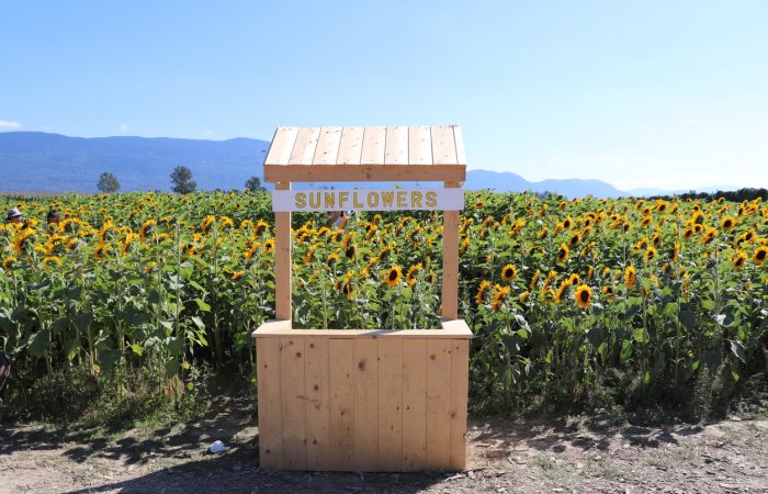 Vancouver Family Fun for August - SavvyMom