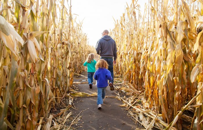 Fun Farms Around Calgary - SavvyMom