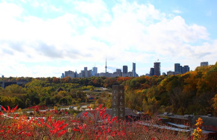 Fun Things to Do in Toronto in October for Families - SavvyMom