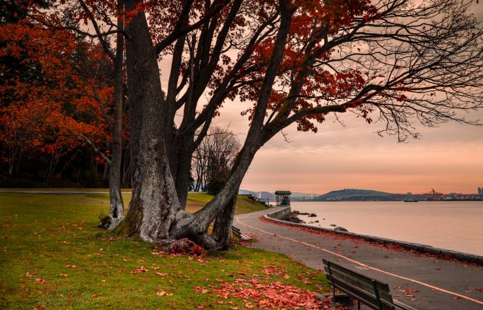 Fun-Things-to-Do-in-Vancouver-for-Families-SavvyMom