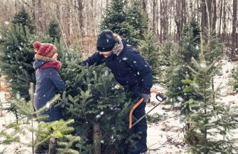 Real Christmas Trees in Toronto - SavvyMom