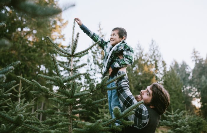 Christmas Trees in Vancouver - SavvyMom