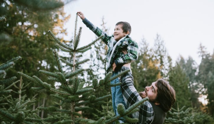 Christmas Trees in Vancouver - SavvyMom