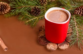 The Easiest Recipe for Hot Chocolate Ever - SavvyMom