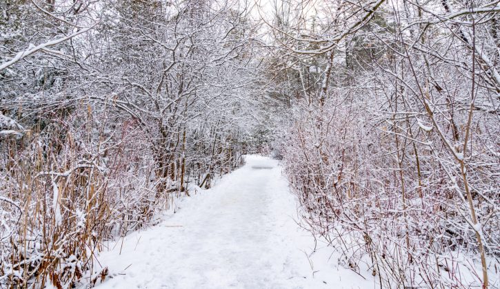 Toronto Winter Hikes Mill Pond Park Trail - SavvyMom