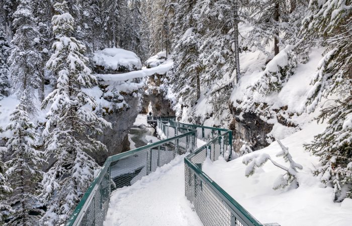 Johnston Canyon Banff Winter Hikes in Calgary - SavvyMom