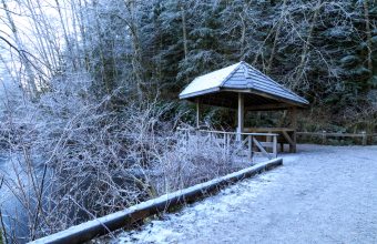 Rice Lake Loop Winter Hiking in Vancouver - SavvyMom