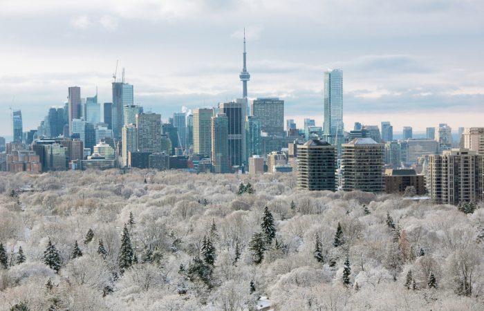 Things to Do in Toronto this Winter with Kids - SavvyMom