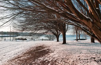 Fun Family Activities in Vancouver in February - SavvyMom