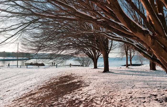Fun Family Activities in Vancouver in February - SavvyMom